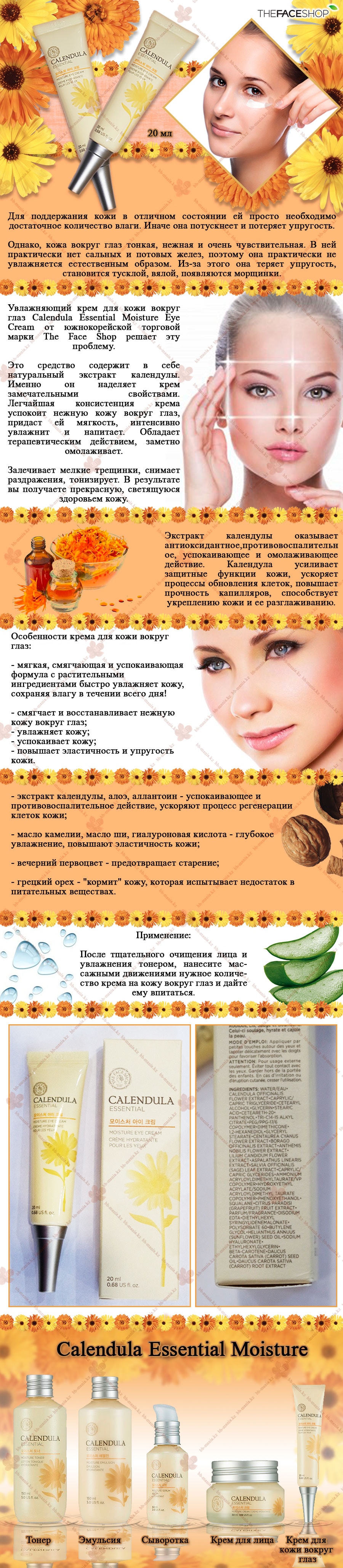 Calendula-Essential-Moisture-Eye-Cream-[The-Face-Shop]-min