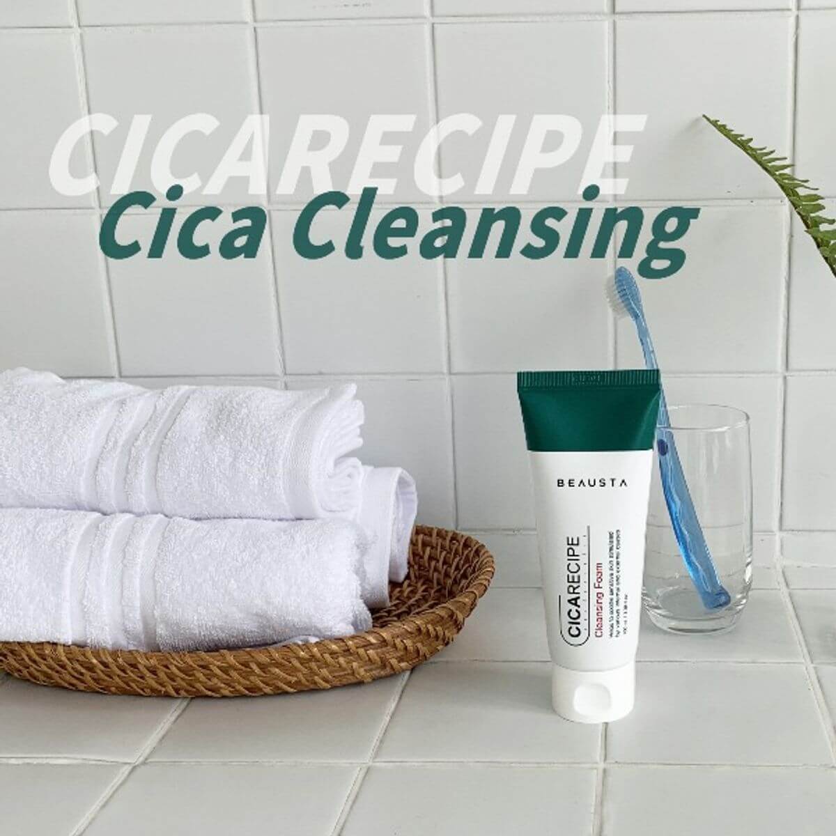 Cicarecipe Cleansing Foam [Beausta. (1)