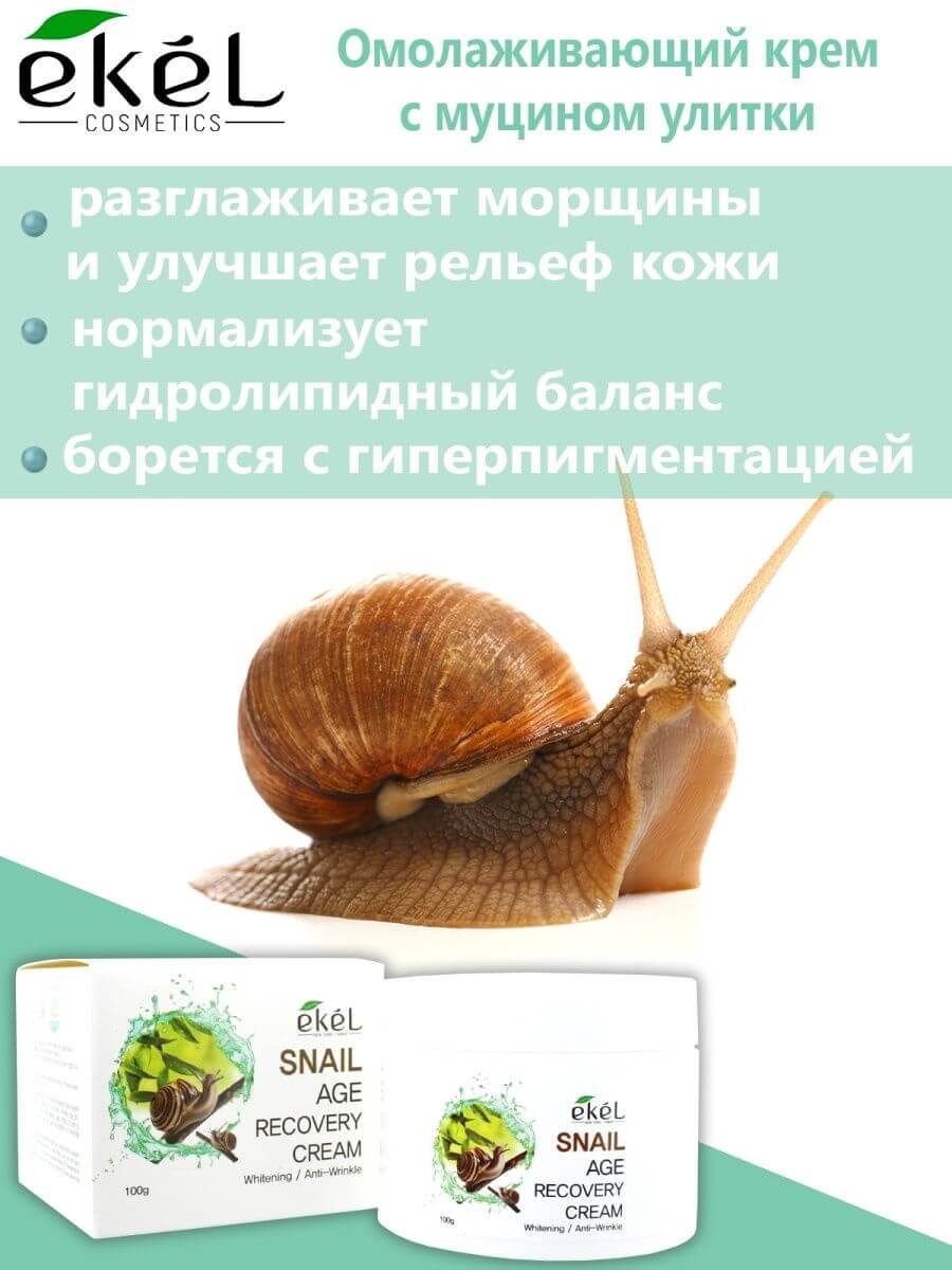 Ekel Snail Age Recovery Cream. (1)