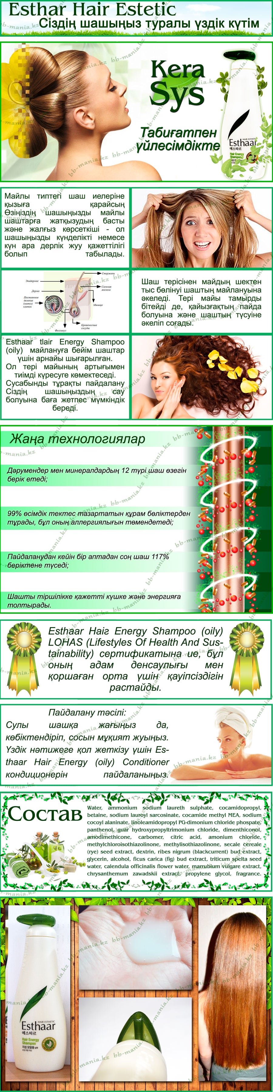 Esthaar-Hair-Energy-Shampoo-(oily)-[Kerasys]-кз-min