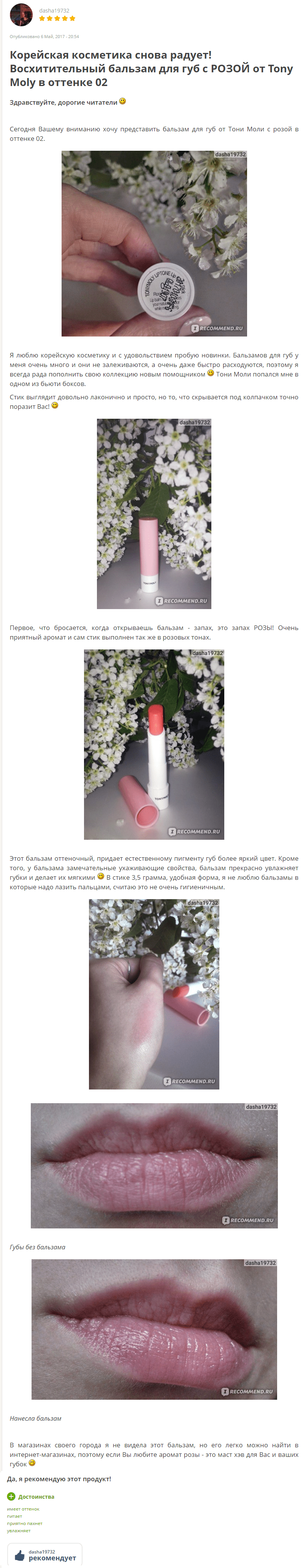 Liptone Lip Care Stick [TonyMoly] отзыв-min