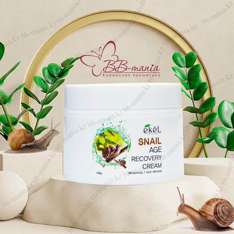 Snail Age Recovery Cream [Ekel]