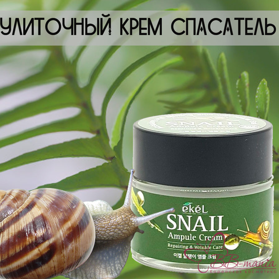 Snail Ampule Cream [Ekel]