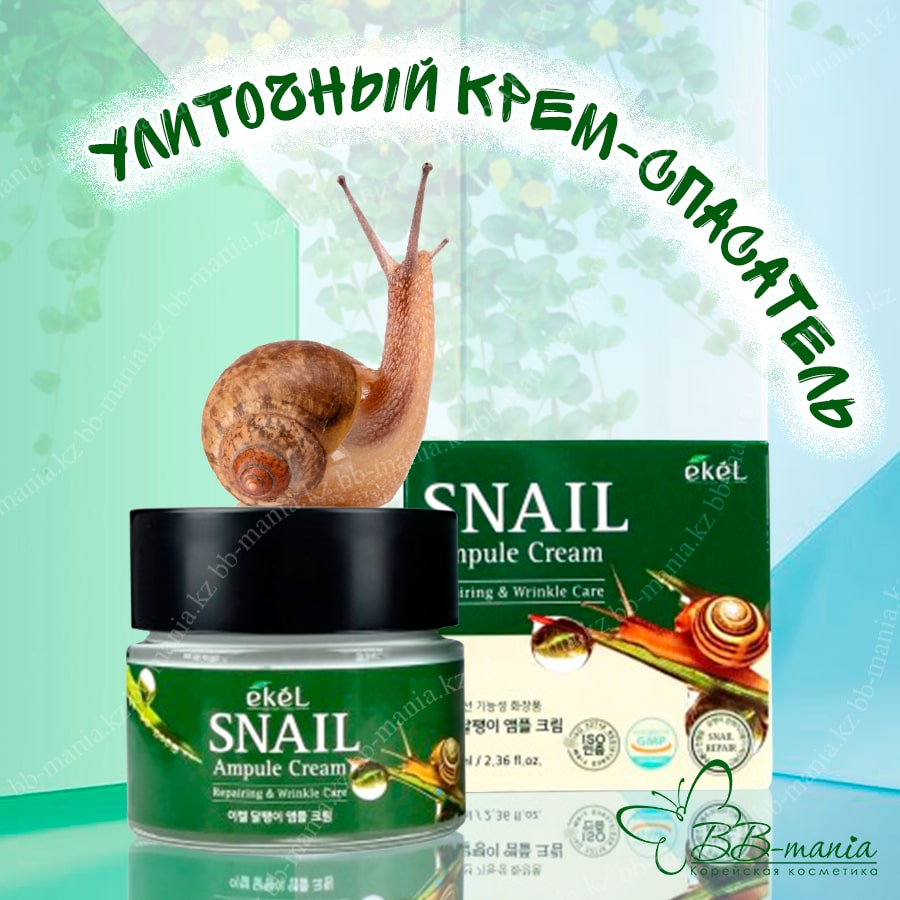 Snail Ampule Cream [Ekel]