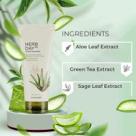 Herb Day 365 Cleansing Foam Aloe & Green Tea [The Face Shop]