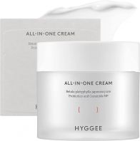 All-In-One Cream [Hyggee]