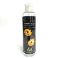 Calendula Hypoallerenic Skin Toner [Eco Branch]