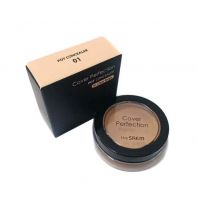 Cover Perfection Pot Concealer 01 [The Saem]