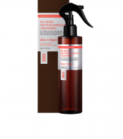 No-Wash Protein Ampoule Treatment Shine&Repair 250 ml [HaaRaz]
