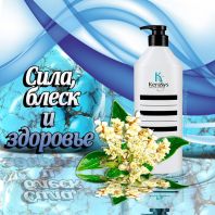 Hair Clinic Moisturizing Shampoo [Kerasys]