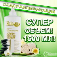 Professional Hair Spa Intensive Care Conditioner [Haken]