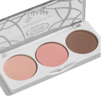 Picasso Strobing Palette #501 [Estrade]
