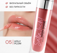 Satin Touch! High-Shine Hydrating Lip Gloss 05 Holy Plum [Monic Beauty]