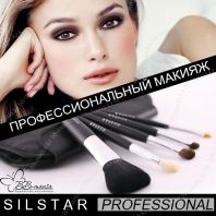 Silstar Profesional Travel Kit Brush Set [JH Corporation]